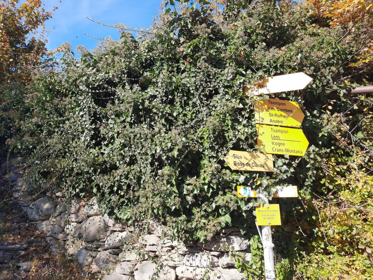 Guesthouse Petit Pre Saint-Léonard Dış mekan fotoğraf