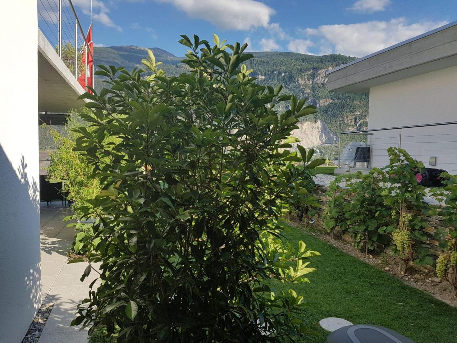 Guesthouse Petit Pre Saint-Léonard Oda fotoğraf